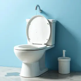 economizar água