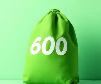 Bolsa Verde
