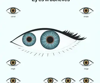 formatos de olhos
