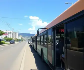 ônibus grátis Porto Velho eleições
